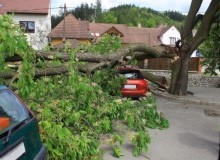 Kwikfynd Tree Cutting Services
plumptonvic