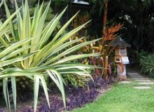 Kwikfynd Tropical Landscaping
plumptonvic