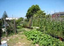 Kwikfynd Vegetable Gardens
plumptonvic